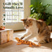 CiyvoLyeen Lizard Catnip Toys Soft Durable Plush for Indoor Cats Boredom Relief Teeth Cleaning Interactive Set of 4