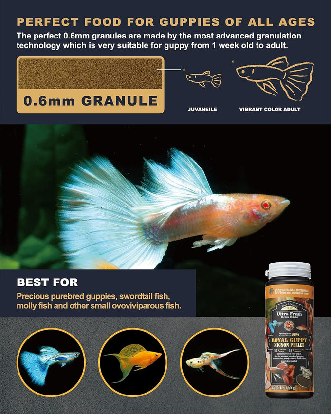 Royal Guppy Mignon Pellet Food for Cleaner Water and Vibrant Color, All Natural Guppy Food with Sword Prawns and Spirulina, 1.87 oz