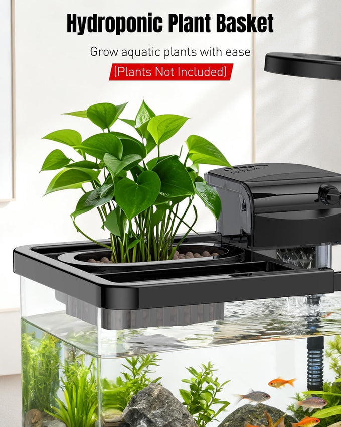 Pawfly 2-gallon betta fish tank kit, small aquarium starter kit with 6w led light, 65gph filter and siphon vacuum water changer