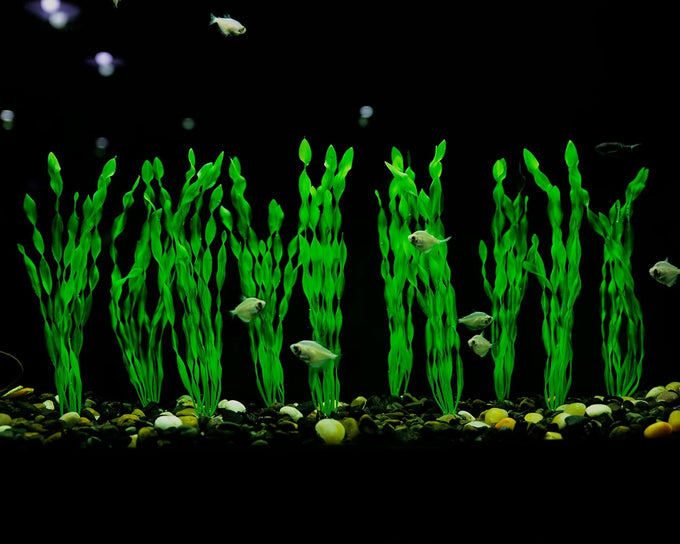 MyLifeUNIT Artificial Seaweed Aquarium Plant Decorations 10 PCS, 12 Inches Tall, Green Plastic PVC