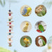 parakeet bird toys 2 pack cuttlebone beak grinding stone cage accessories for small birds