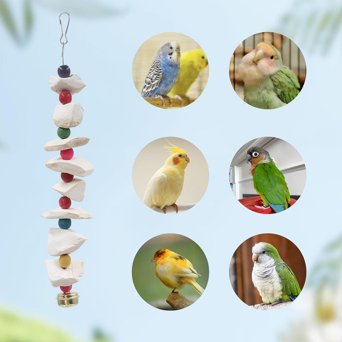 parakeet bird toys 2 pack cuttlebone beak grinding stone cage accessories for small birds