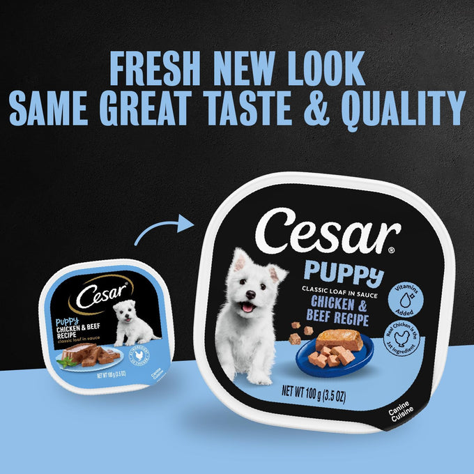Cesar Puppy Classic Loaf Wet Dog Food, Chicken & Beef, 3.5oz