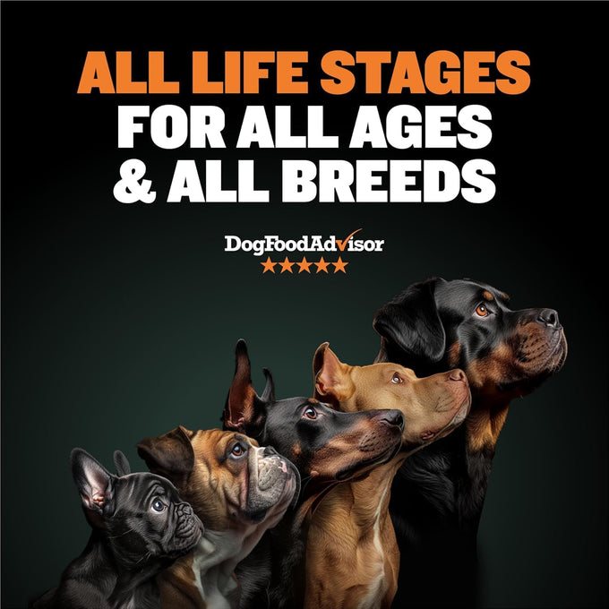 bully max dehydrated high protein instant wet dog food with chicken for small and large breeds