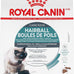 Royal Canin Feline Care Nutrition Hairball Care Adult Dry Cat Food, 6 lb Bag