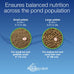 Aquascape premium color enhancing fish food pellets for pond koi goldfish, scientifically formulated and probiotics rich, 2.2 lbs, 1 kg