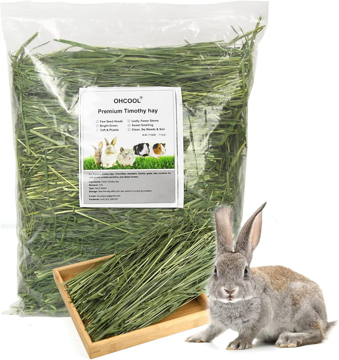 Timothy Hay 1.1LB natural green fresh food hay for rabbits tortoise guinea pig chinchilla dust free chemical free