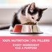 Purina ONE High Protein Natural Dry Kitten Food 7 lb Bag Plus Healthy Kitten Formula