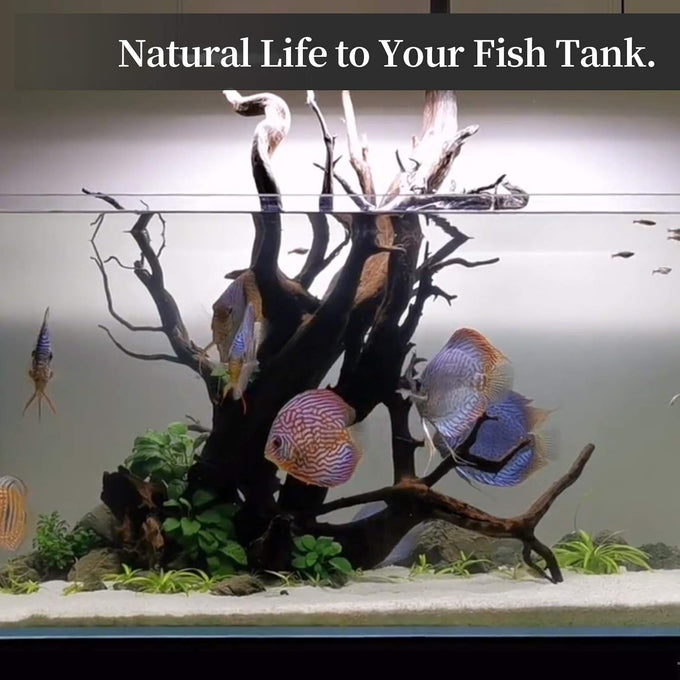majoywoo Natural Coral Driftwood Assorted Branch 6-10" 3 Pcs Aquarium Decor Reptile Decorations