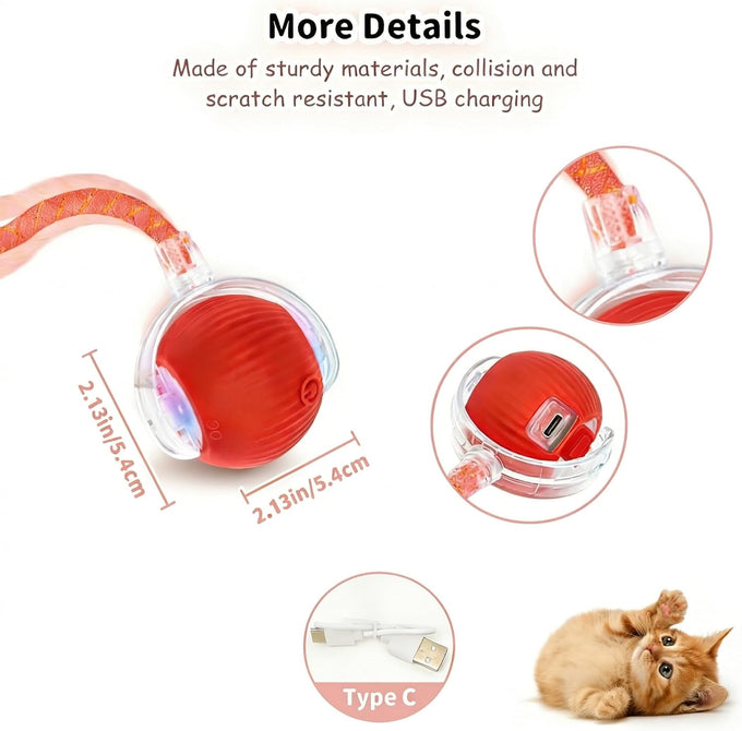 Rechargeable smart rolling cat ball with 3 modes, LED light and 3 replaceable accessories for kittens and adult cats