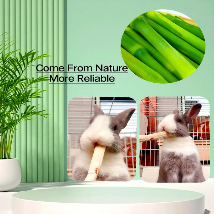 Bamboo Molar Treats for Small Animals, 300g, Natural, 100% Bamboo, Chews for Rabbits, Chinchillas, Guinea Pigs