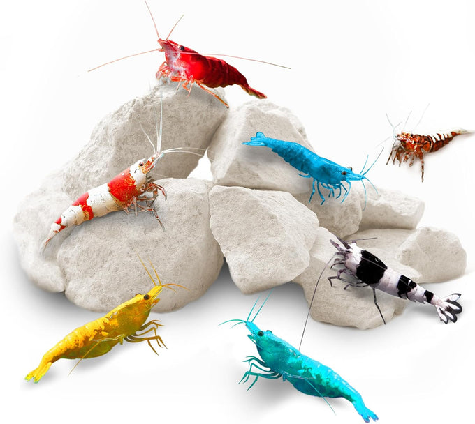 SunGrow Shrimp Rocks for Crayfish, Hermit Crab, Snails, Aquarium Decor, Crystal Red, Amano, Ghost Shrimps, Nano Tank Accessories