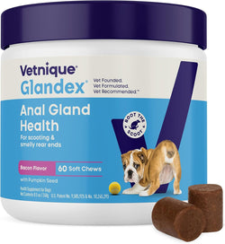 Vetnique Glandex Anal Gland Soft Chews with Pumpkin, Digestive Enzymes, Probiotics, Fiber Supplement for Dogs (Bacon Flavor, 60 Count)