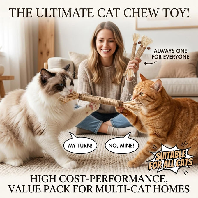 100% Organic Silvervine Wood Catnip Stick 3Pack for Cleaning Teeth and Relief