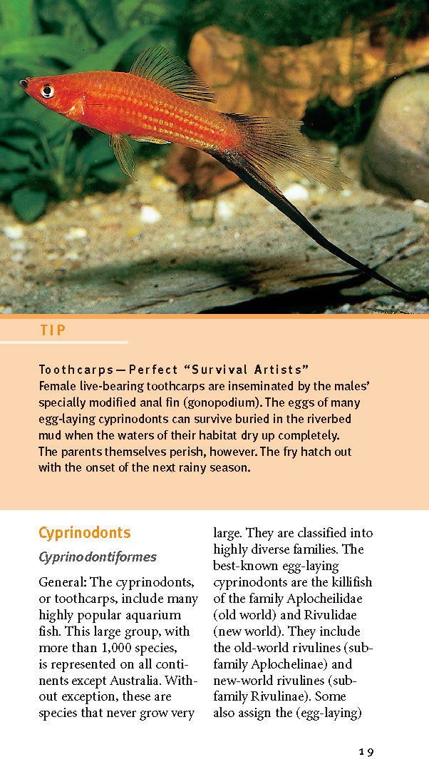 compass-guides-tropical-freshwater-aquarium-fish-paperback-2005-guide