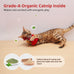 Potaroma SilverVine Cat Toys Chirping Realistic Birdies Interactive Kicker Indoor Kitty Exercise Toys 2 Pcs