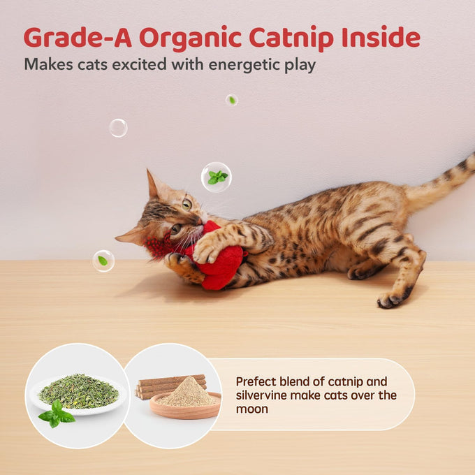 Potaroma SilverVine Cat Toys Chirping Realistic Birdies Interactive Kicker Indoor Kitty Exercise Toys 2 Pcs