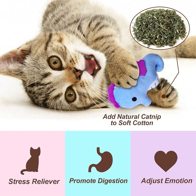 catnip toys for indoor cats kitten interactive lobster octopus crab starfish seahorse sea turtle set of 6
