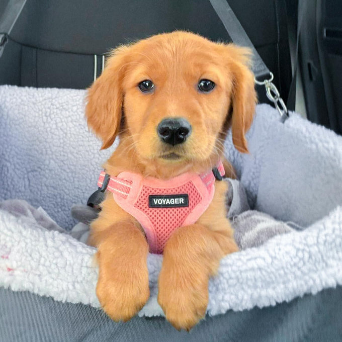Voyager adjustable step-in flex breathable mesh dog harness for small medium large dogs pink medium size