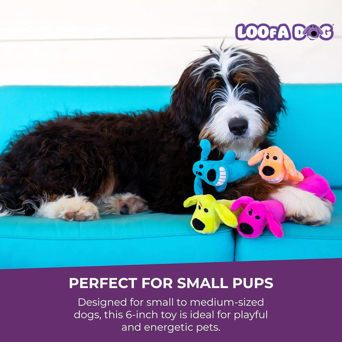 Multipet Original Loofa Dog Plush Toy - 6 Inch Squeaky Toy for Small to Medium Dogs - Extra Soft Plush