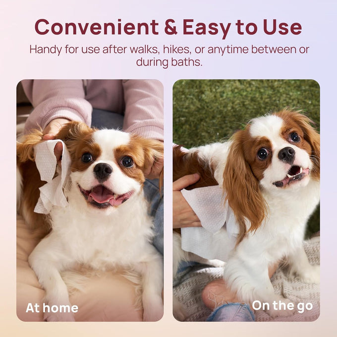 HICC Pet Wipes for Dogs and Cats, Vet-Recommended, Fermented Coconut Oil, 100pcs, Rose