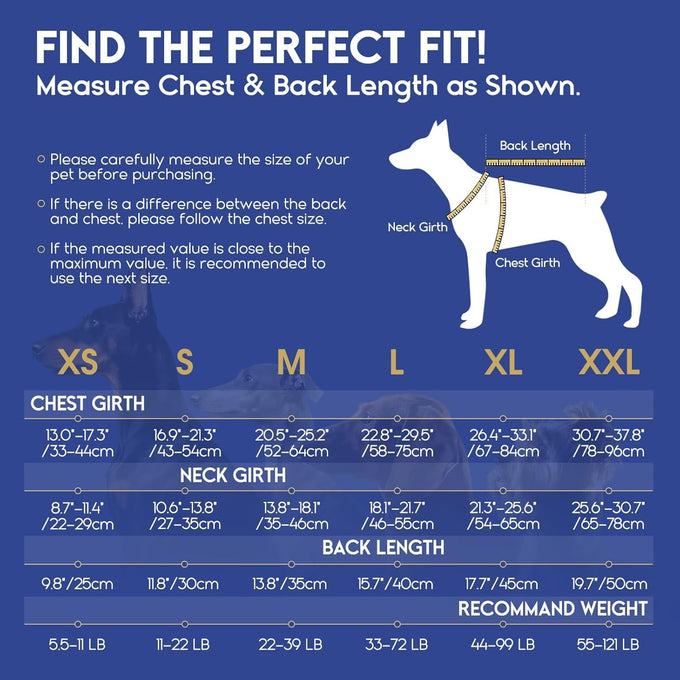 Asenk Dog Life Jacket for Swimming, Boating, Reflective & Adjustable, Small to Large Dogs, Blue, Size S