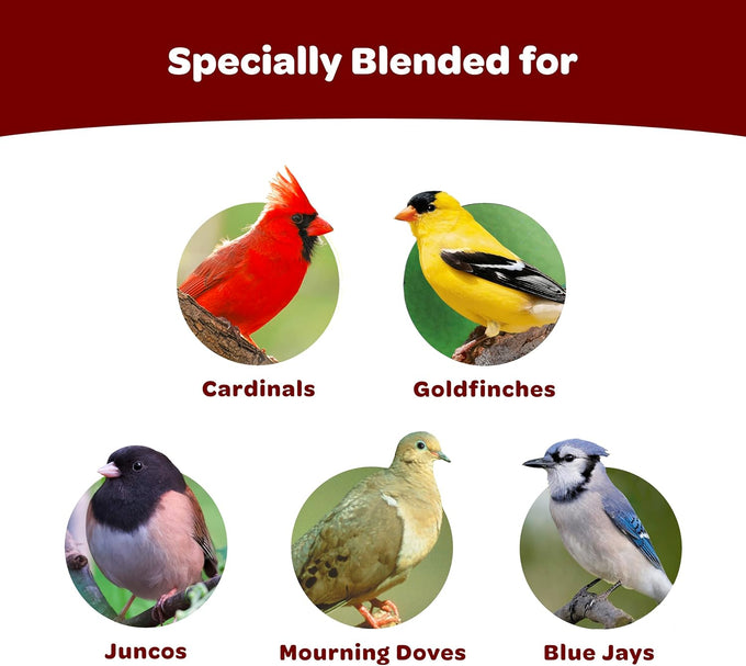 kaytee cardinal seed cake, wild bird food, 1.85 pounds, 4 count, black oil sunflower and safflower seeds