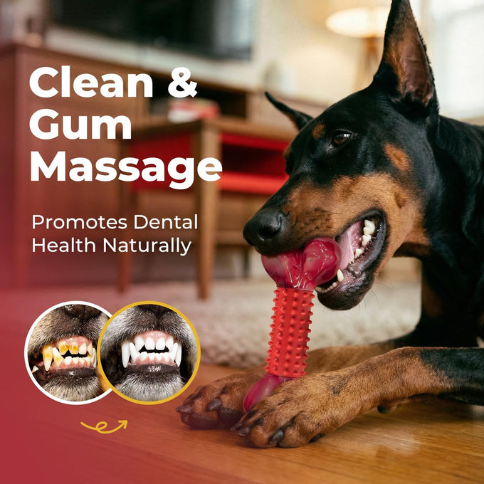 Red, Beef Flavored, Long Lasting Dog Bones for Large Dogs with Nylon Core and Rubber Sleeve, Suitable for Medium & Large Breed