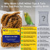 millet-tips-tails-for-parakeets-cockatiels-lovebirds-1lb-usa-grown