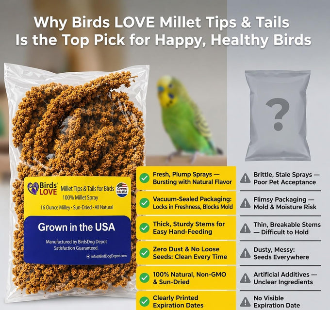 millet-tips-tails-for-parakeets-cockatiels-lovebirds-1lb-usa-grown