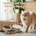  Raised Ceramic Cat Bowl Set with 15° Tilt, Double Ceramic Bowls, Easy Clean for Indoor Cats