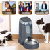 PetSafe Automatic Stainless Steel Bowl Dog and Cat Gravity Food Feeder and Waterer for Small Medium Pets 1 Gallon x 2