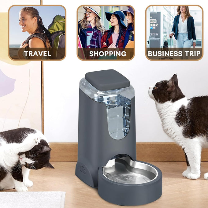 PetSafe Automatic Stainless Steel Bowl Dog and Cat Gravity Food Feeder and Waterer for Small Medium Pets 1 Gallon x 2