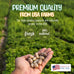 Sneaky Mango raw peanuts in shell, 5 pounds, all-natural food for wildlife, grown in USA for healthy nutrition