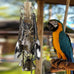 Bird Parrot Chew Toys for Macaws, African Grey Parrots, Cockatoos, and More - Brass Keys, Bells, and Mini Badminton Balls