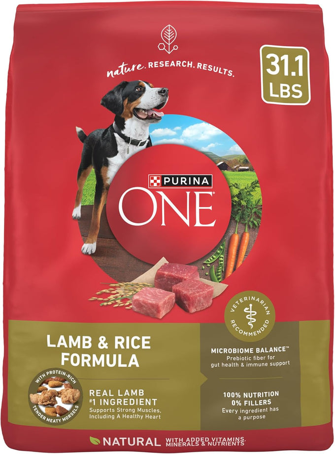Purina ONE Chicken & Rice Dry Dog Food - 40 lb Bag