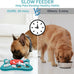 petsta dog puzzle toy, 10 inch x 10 inch x 1.3 inch, squeak button, 16-hole treat dispenser