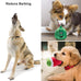 nocciola dog squeaky toys, small plush toys with squeakers, 12 pack for small medium size dogs