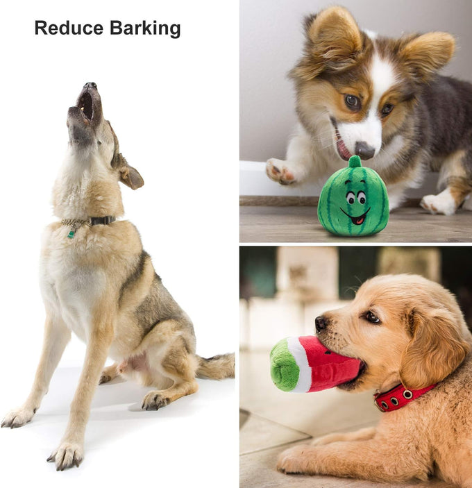 nocciola dog squeaky toys, small plush toys with squeakers, 12 pack for small medium size dogs