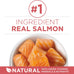 Purina ONE Natural Low Fat Indoor Dry Weight Control High Protein Cat Food with Real Salmon - 7 lb Bag