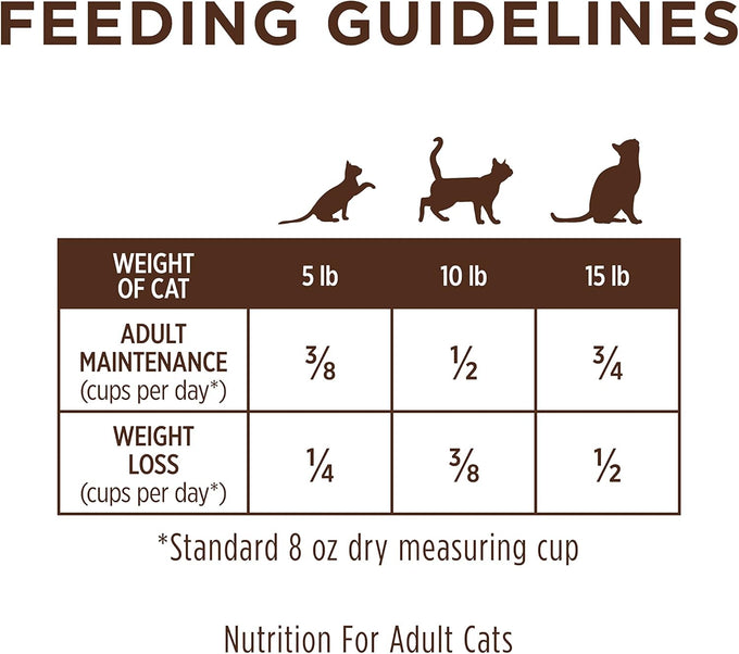 Instinct limited ingredient dry cat food, grain free turkey recipe, 11 lb bag, natural pet food