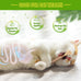 BAWAN 5PCS Silvervine Cat Chew Sticks for Indoor Cats Interactive Teething Toys for Kitten Aggressive Chewers