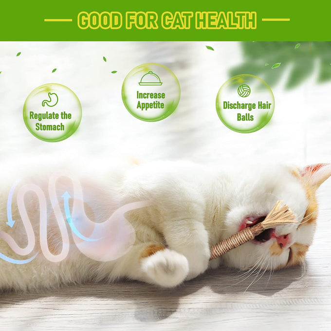 BAWAN 5PCS Silvervine Cat Chew Sticks for Indoor Cats Interactive Teething Toys for Kitten Aggressive Chewers