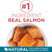 Purina ONE Natural Dry Cat Food Tender Selects Blend with Real Salmon, 7 lb Bag, Adult Cat Nutrition