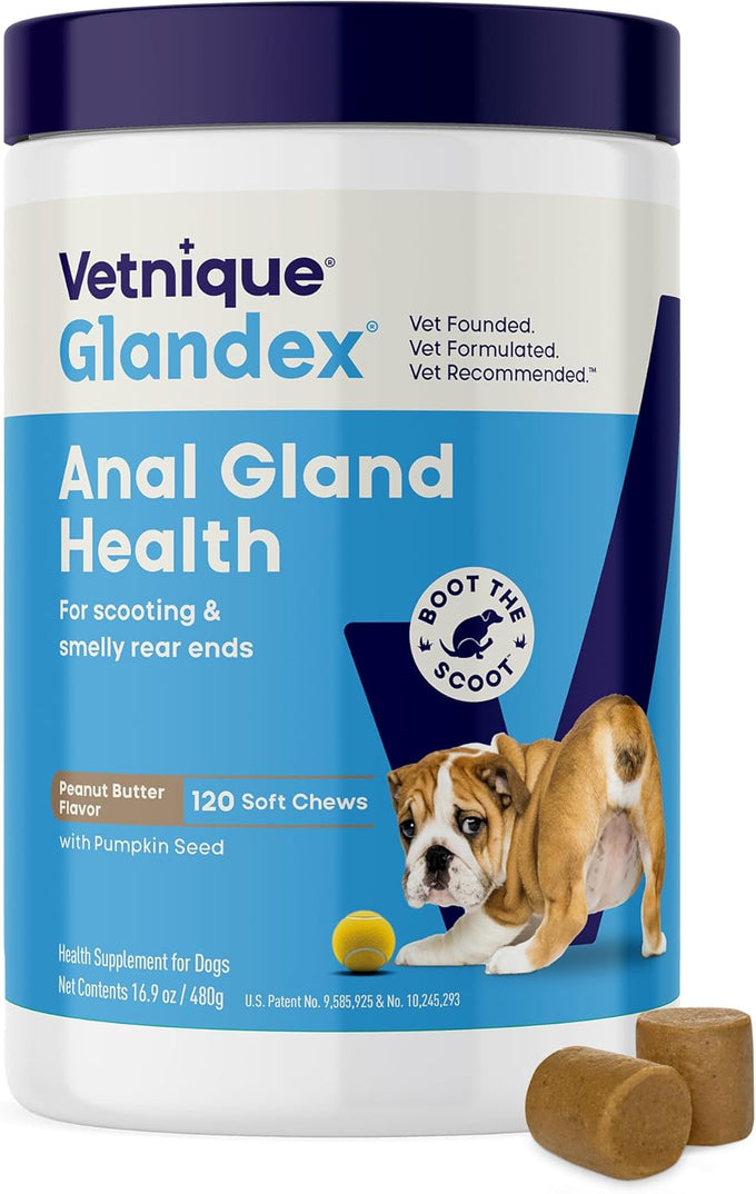 Vetnique Glandex Anal Gland Soft Chews with Pumpkin, Digestive Enzymes, Probiotics, Fiber Supplement for Dogs (Bacon Flavor, 60 Count)