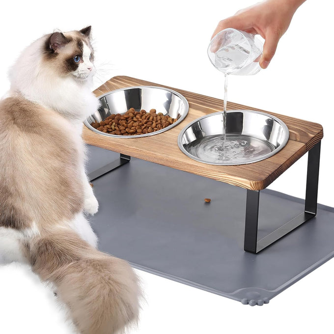 Upgraded 15°Tilted Stainless Steel Cat Bowls with Food Mat for Cats and Puppy