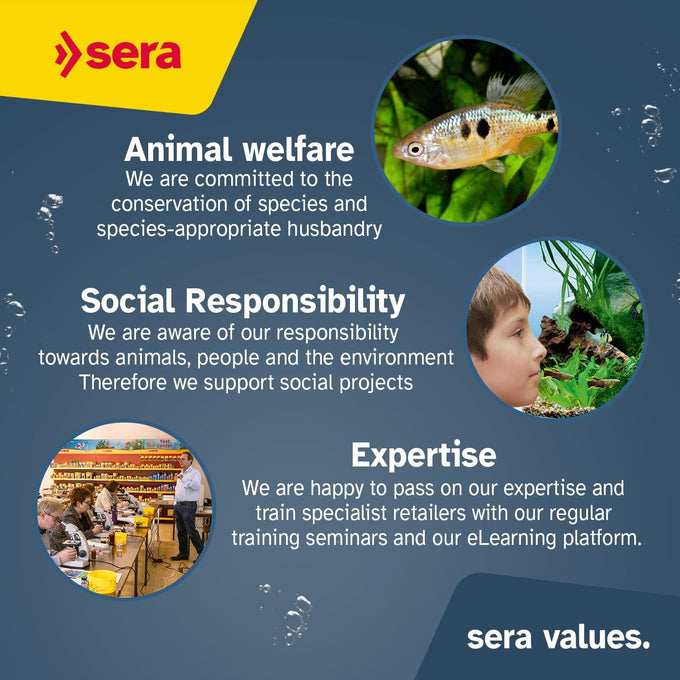 sera Marine Granules Nature Staple Food 3.5oz for Saltwater Fish Dye-Free Preservative-Free with Marine Algae Spirulina & Krill