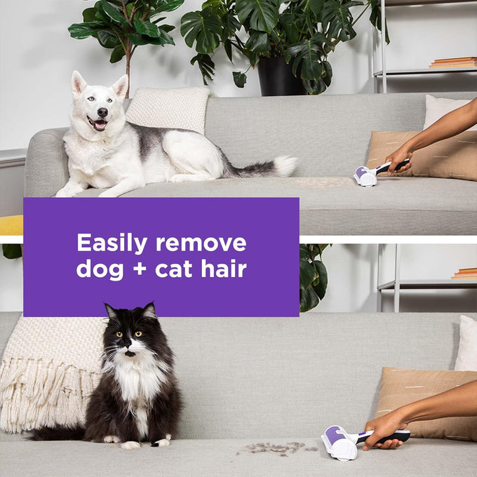 Black+Decker Pet Hair Remover with Roller, Easy Dog Hair and Cat Hair Removal (HMSCT0001)