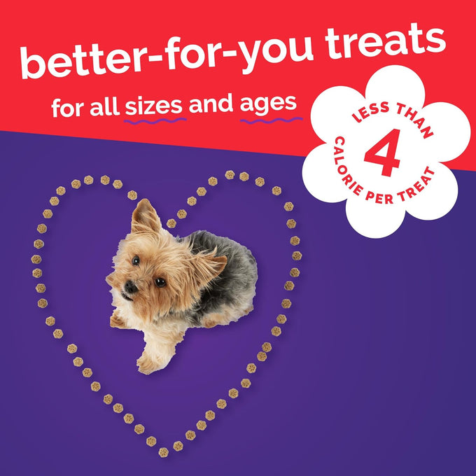 Fruitables Skinny Mini Dog Treats, Low Calorie & Delicious, Sweet Potato, Apple & Bacon Flavor, 12 oz