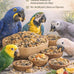 Parrots love all natural garden blend bird food 2lb, no artificial coloring or preservatives